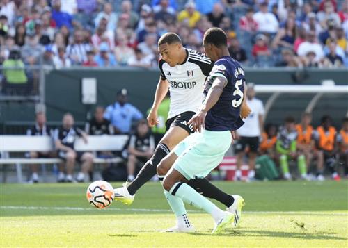 Fulham vs Brentford