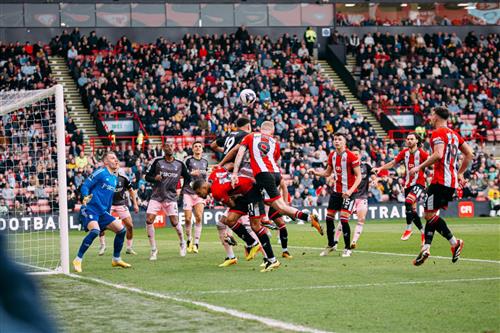 Sheffield United đấu với Fulham